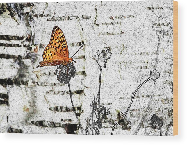 Butterfly Wood Print featuring the digital art Butterfly by K Bradley Washburn