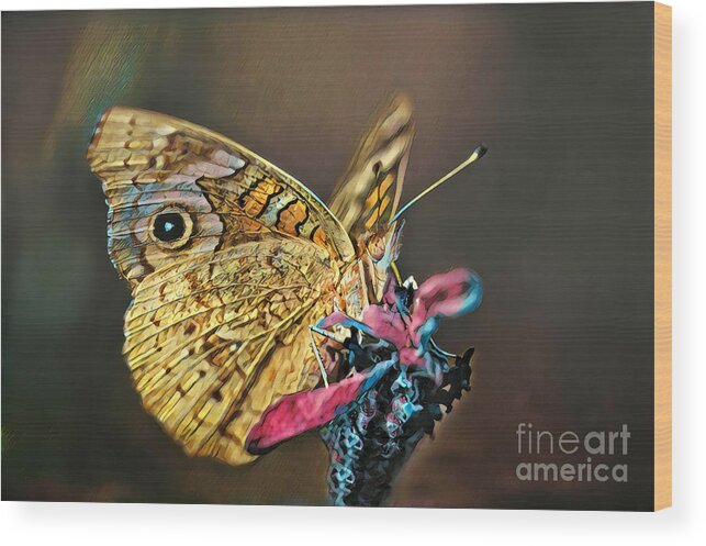 Butterfly Wood Print featuring the photograph Butterfly on a Flower by Wernher Krutein