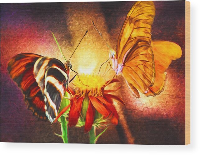 Julia Heliconian Wood Print featuring the photograph Butterfly Standoff by Susan Rissi Tregoning