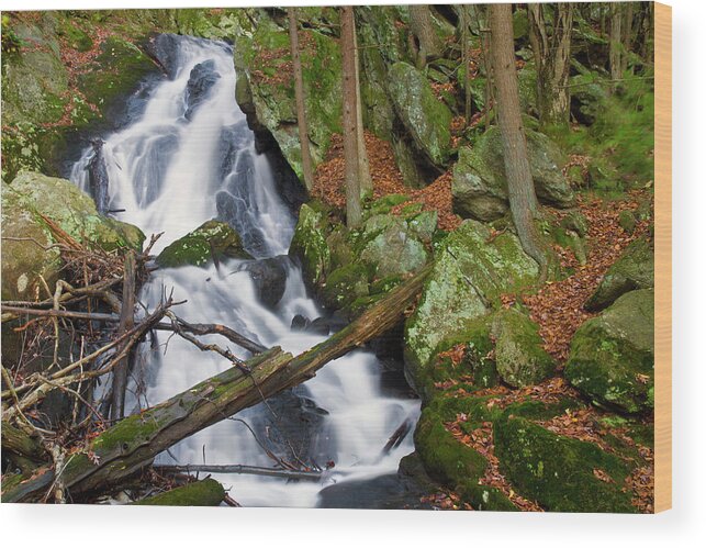 Buttermilk Falls Wood Print featuring the photograph Buttermilk falls by David Freuthal