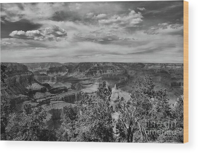 Grand Canyon Wood Print featuring the photograph BW Grand Canyon A by Chuck Kuhn