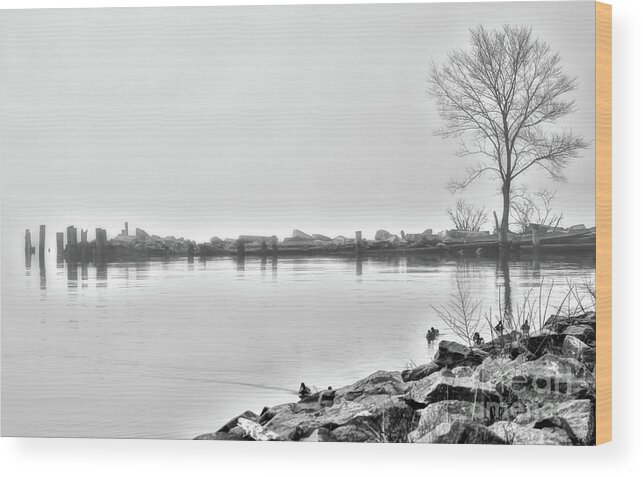 Ny Wood Print featuring the photograph BW peaceful by Chuck Kuhn