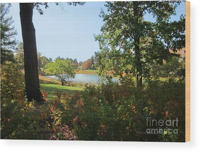 Photography Wood Print featuring the photograph By the Lake by Kathie Chicoine