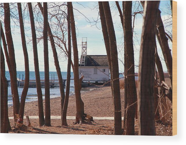 Behind Wood Print featuring the photograph By the Lake by Valentino Visentini
