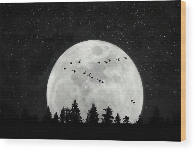 Silver Moon Wood Print featuring the photograph By the Light of the Silvery Moon - Birds by Andrea Kollo