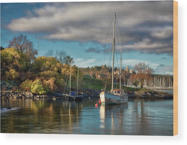 Boat Wood Print featuring the photograph Bygdoy Harbor by Ross Henton