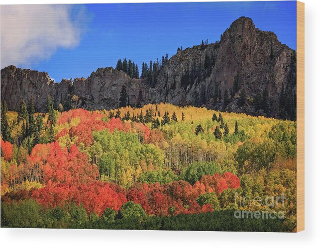 Colorado Wood Print featuring the photograph C Is For Colorado by Doug Sturgess