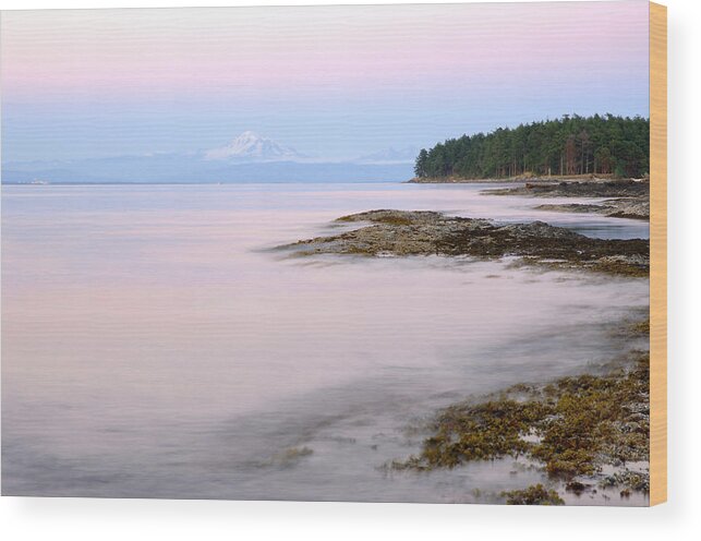 Cabbage Island Wood Print featuring the photograph Cabbage Island by Kevin Oke