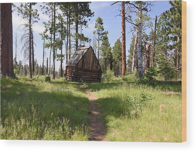 Photograph Wood Print featuring the photograph Cabin in the Woods by Richard Gehlbach