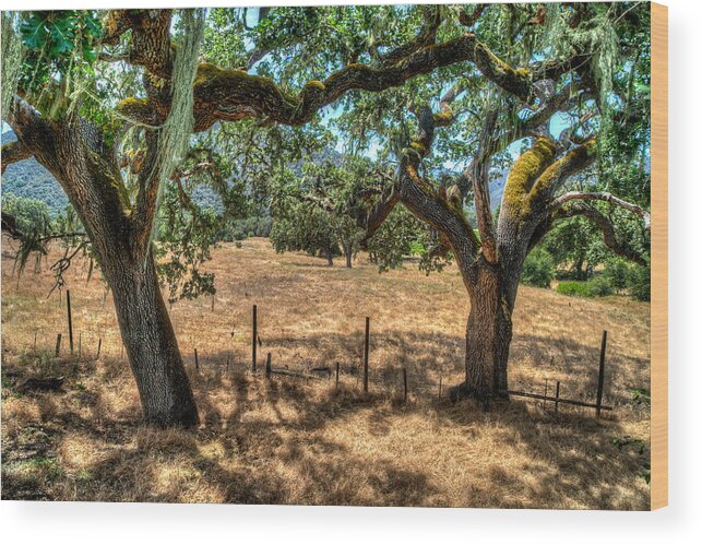 Cachagua Wood Print featuring the photograph Cachagua by Derek Dean