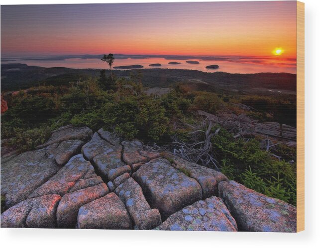 Acadia Wood Print featuring the photograph Cadillac Rock by Neil Shapiro