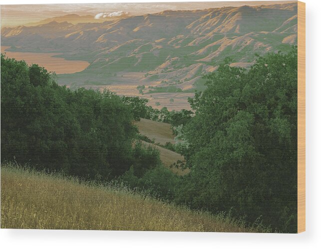 Sunol Valley Wood Print featuring the photograph Calaveras Reservoir, Sunol Valley, Santa Clara County, California Abstract by Kathy Anselmo