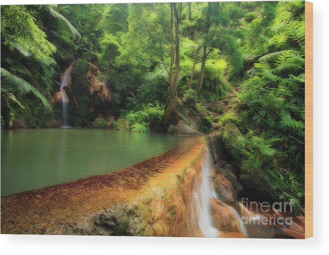 Caldeira Velha Wood Print featuring the photograph Caldeira Velha - Azores islands by Gaspar Avila