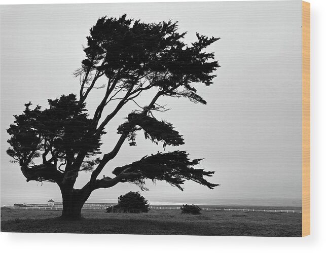 California Wood Print featuring the photograph Cali Coast Pt Arena 9 by JustJeffAz Photography