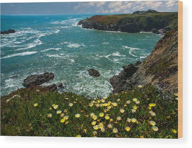 Northern California Wood Print featuring the photograph California Coast by Harry Spitz