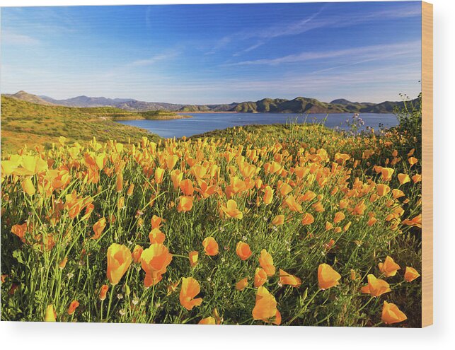 Landscapes Wood Print featuring the photograph California Dreamin by Tassanee Angiolillo