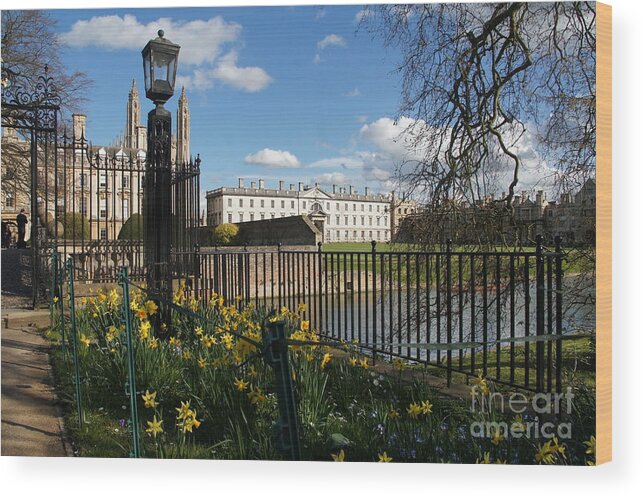 Cambridge Wood Print featuring the photograph Cambridge. End of March. by Elena Perelman