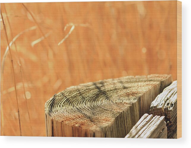 Cantigny Wood Print featuring the photograph Cantigny Fence Post by Joni Eskridge