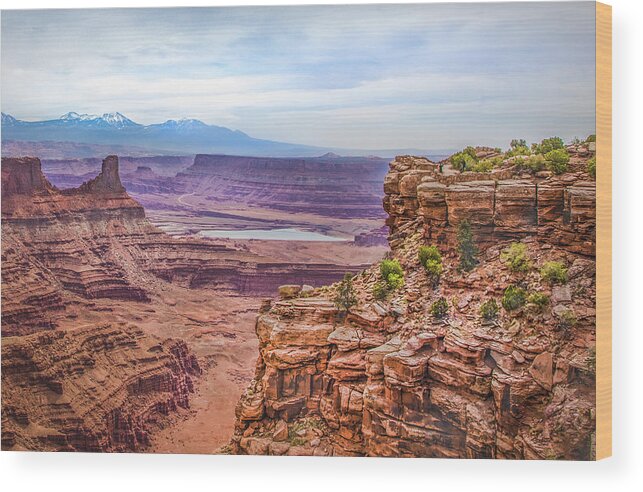 Utah Wood Print featuring the photograph Canyon Landscape by James Woody
