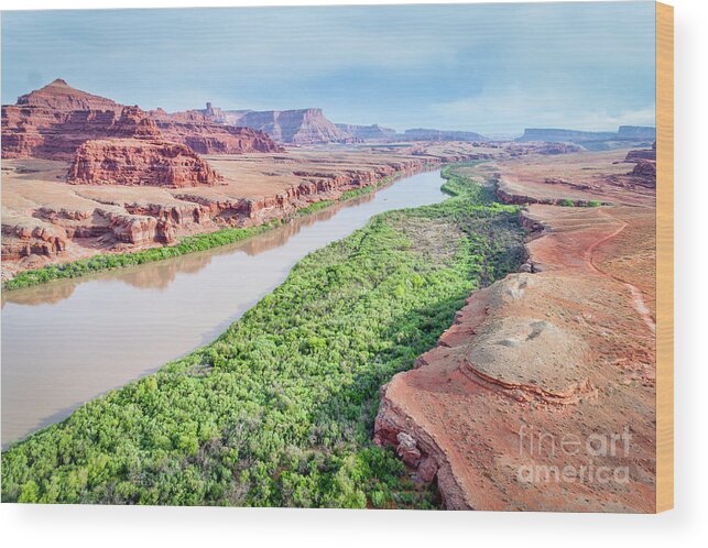 Colorado River Wood Print featuring the photograph Canyon of Colorado River in Utah aerial view by Marek Uliasz