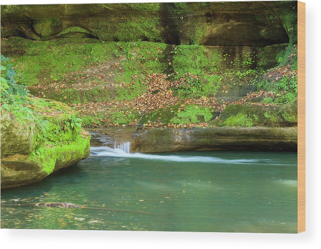 Illinois Wood Print featuring the photograph Canyon Solitude by Todd Bannor