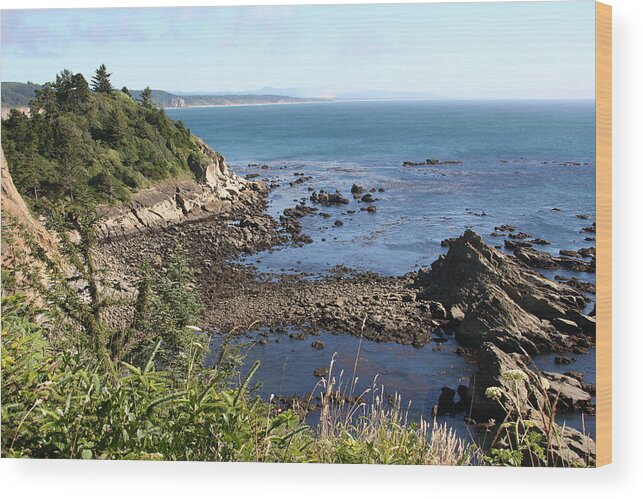 Cape Arago Wood Print featuring the photograph Cape Arago by Dylan Punke