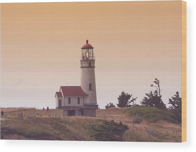 Lighthouse Wood Print featuring the photograph Cape Arago LI 6000 by Mary Gaines