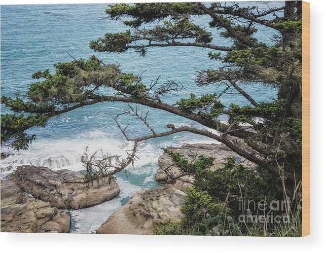 Cape Arago State Park Wood Print featuring the photograph Cape Arago Scenic View by Al Andersen