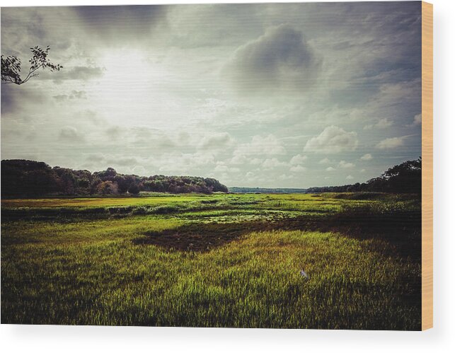 Glorious Wood Print featuring the photograph Cape Cod Marsh 1 by Frank Winters