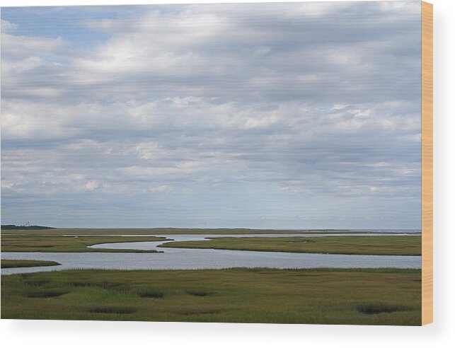 Fort Hill Wood Print featuring the photograph Cape Cod Salt Marsh by Juergen Roth