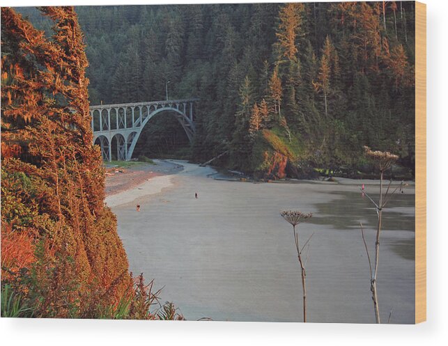 Cape Creek Bridge Wood Print featuring the photograph Cape Creek Bridge by Ben Prepelka