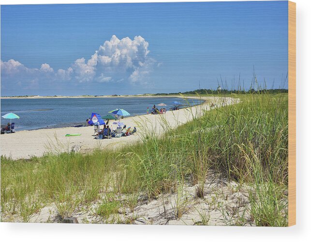 Cape Henlopen State Park Wood Print featuring the photograph Cape Henlopen State Park - Beach Time by Brendan Reals