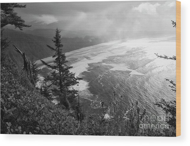 Oregon Wood Print featuring the photograph Cape Lookout visit www.AngeliniPhoto.com for more by Mary Angelini