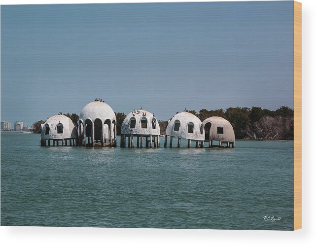 Florida Wood Print featuring the photograph Cape Romano - Domed Homes - Marco in the Background by Ronald Reid