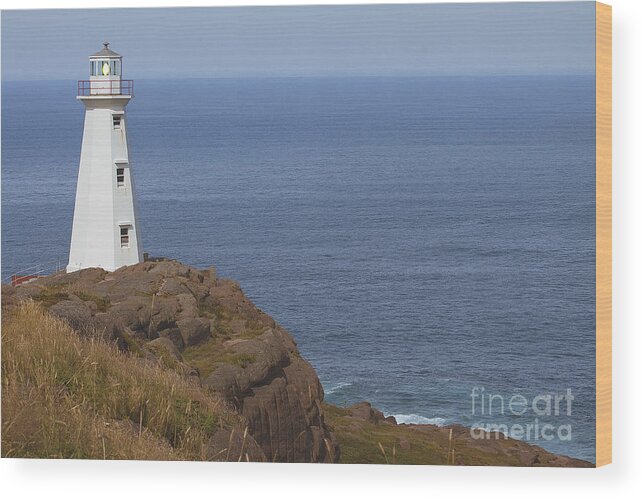 Lighthouse Wood Print featuring the photograph Cape Spear by Eunice Gibb