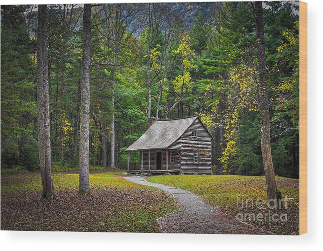 Historic Wood Print featuring the photograph Carter Shields Cabin in Cades Cove TN Great Smoky Mountains Landscape by T Lowry Wilson