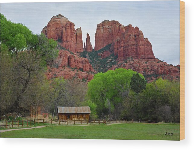 Cathedral Wood Print featuring the photograph Cathedral Rock V by David Gordon