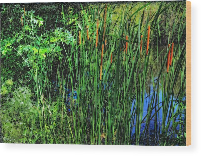 Cattails Wood Print featuring the photograph Cattails by Anna Louise