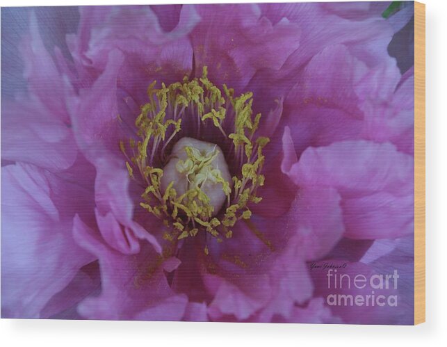 Floral Wood Print featuring the photograph Center of the Attention by Yumi Johnson