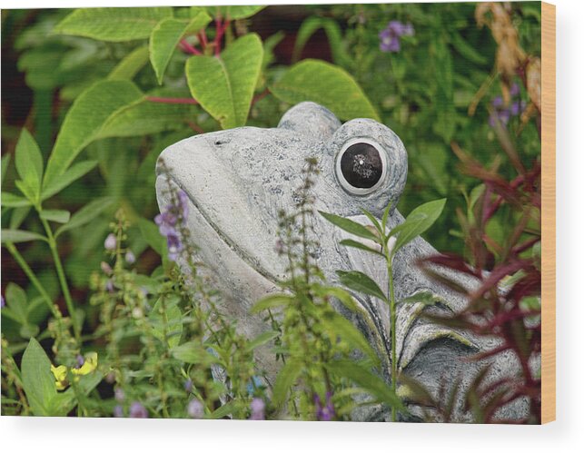 Frog Wood Print featuring the photograph Ceramic Frog by John Black