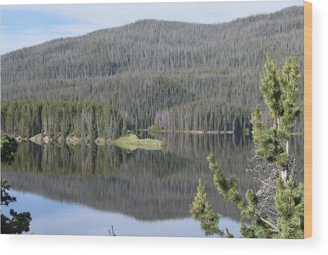 Blue Wood Print featuring the photograph Chambers Lake Hwy 14 CO #2 by Margarethe Binkley