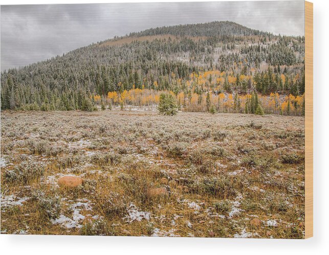 Fall Colors Wood Print featuring the photograph Changing Seasons 0664 by Kristina Rinell
