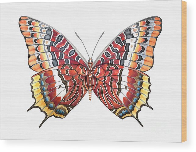 Butterfly Wood Print featuring the painting Charaxes Butterfly by Lucy Arnold