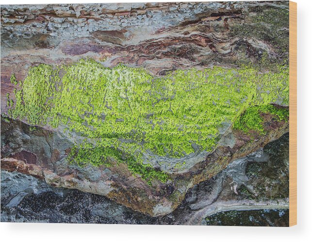 New Zealand Wood Print featuring the photograph Chartreuse Abstraction by Steven Schwartzman