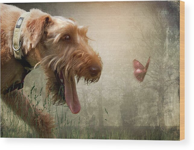 Dog Wood Print featuring the photograph Chasing Dreams by Ethiriel Photography