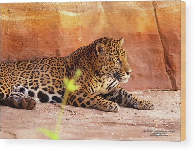 Nature Wood Print featuring the digital art Cheetah by Christopher Eng-Wong