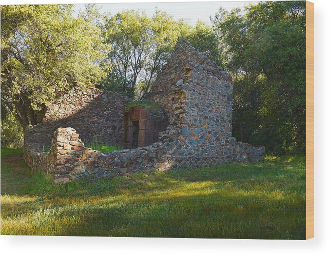 Ruins Of The Cherokee Gold Assayers Office Wood Print featuring the photograph Cherokee Gold Assayers Office Ruins by Frank Wilson