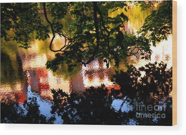 Reflection Wood Print featuring the photograph Chesky Reflection by Karl Manteuffel