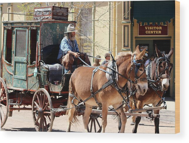 Chestnut Horses Pulling Carriage Wood Print featuring the photograph Chestnut Horses Pulling Carriage by Colleen Cornelius