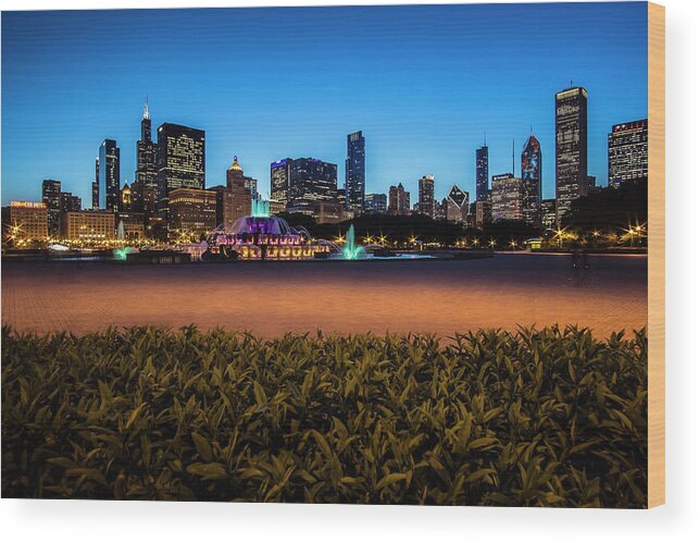 Clarence Buckingham Fountain Wood Print featuring the photograph Chicago's Buckingham Fountain at dusk by Sven Brogren